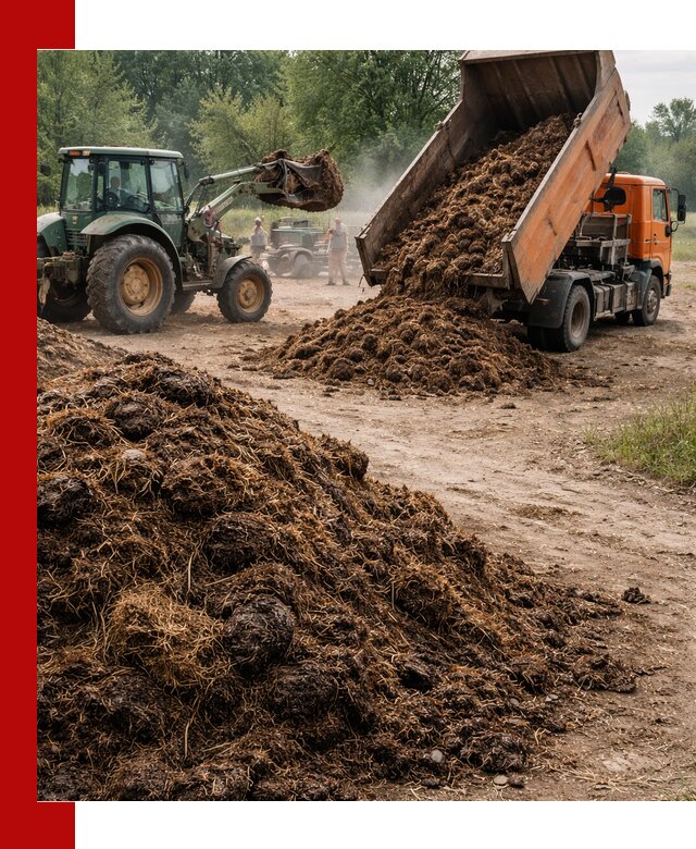 Доставка навоза самосвалами в Кемерово для сельхозпотребностей