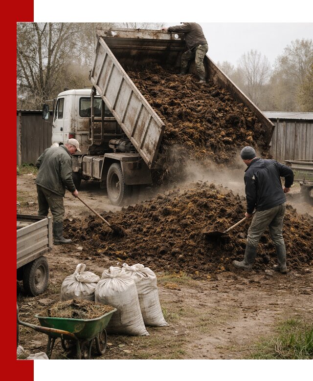 Доставка коровьего навоза самосвалом в Кемерово